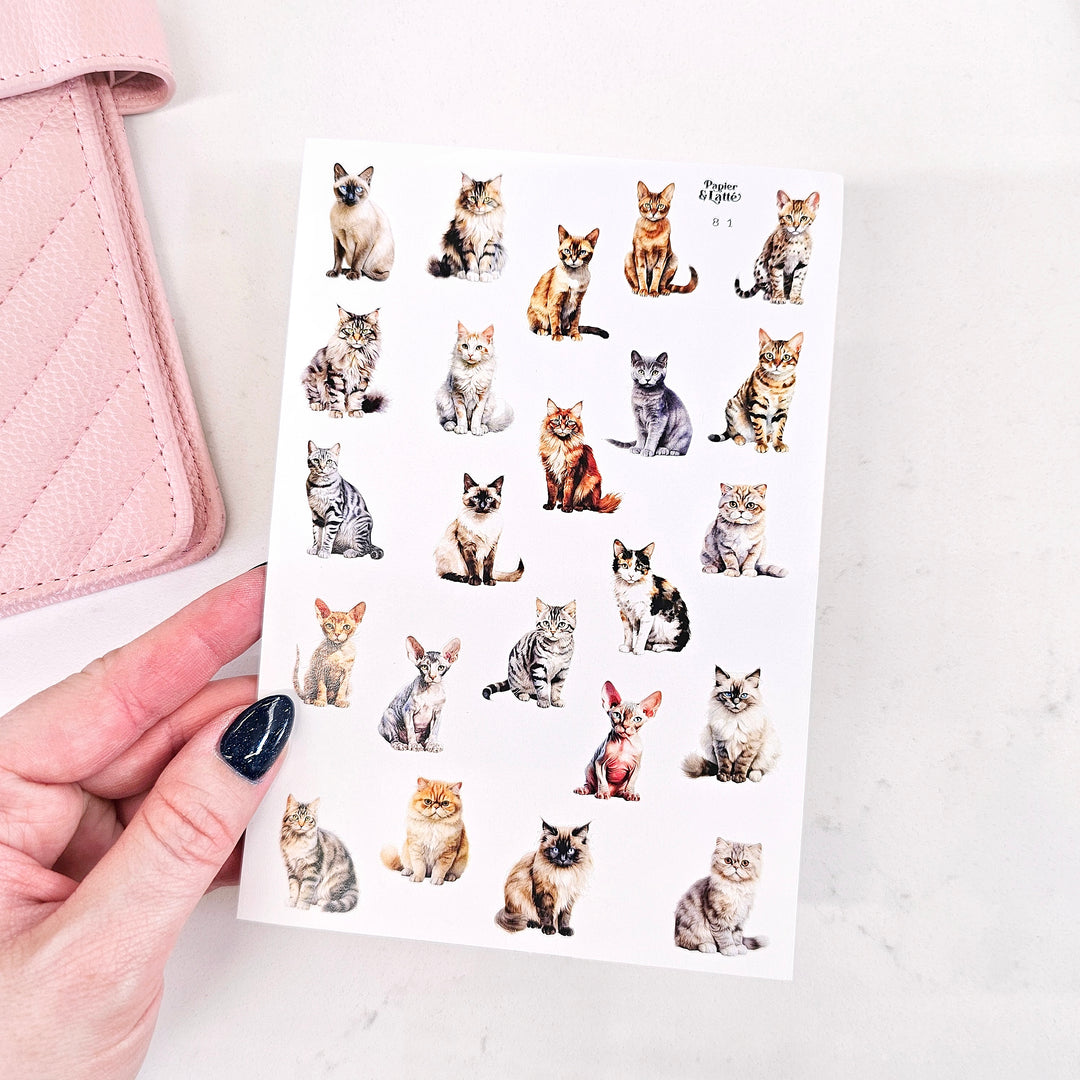Autocollants - 81. Races de chats / Stickers