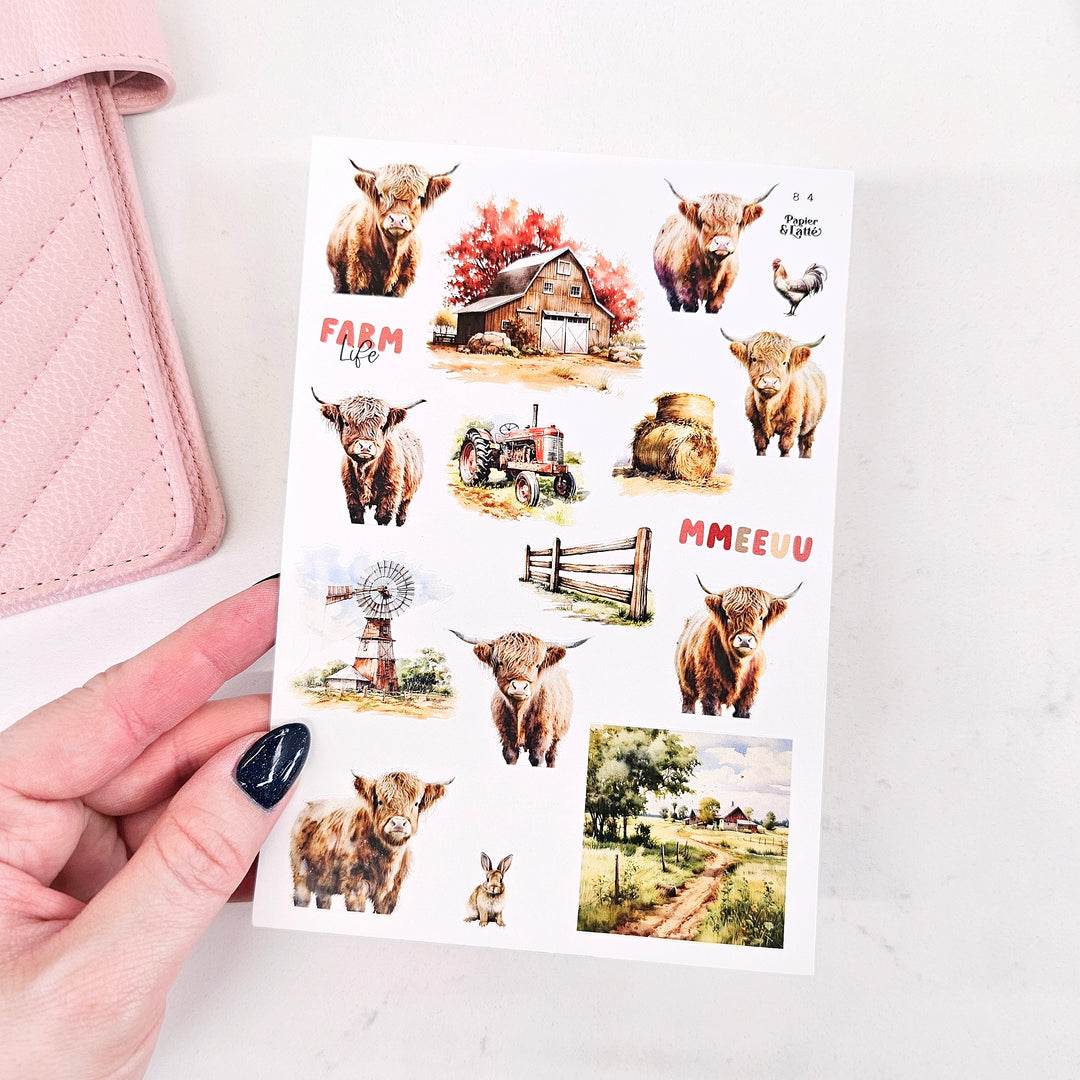 Autocollants - 84. Vaches highland / Stickers