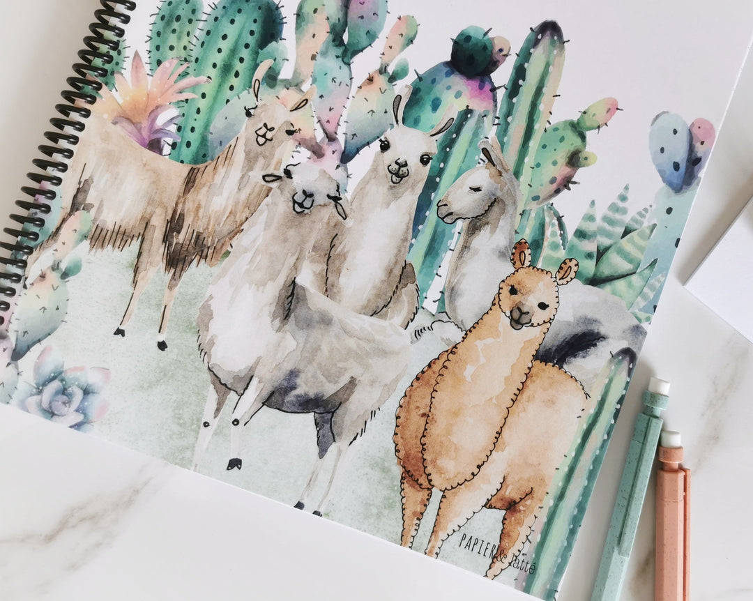 46 - Dylan - Cahier de notes