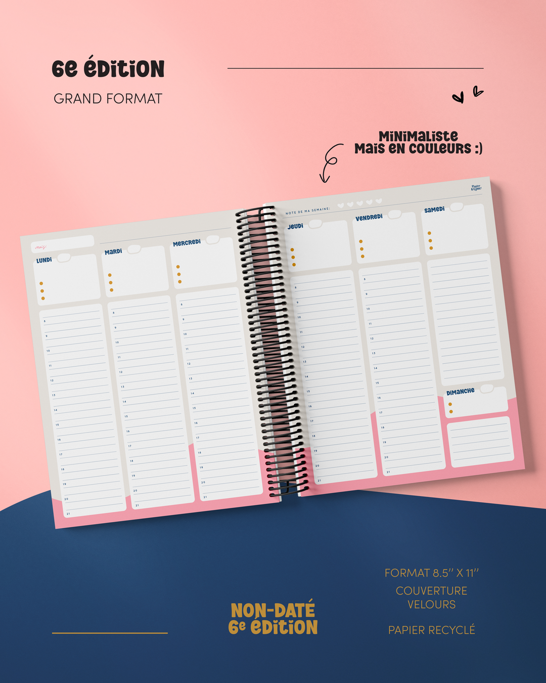 Pages intérieures agenda 6e édition avec organisation quotidienne détaillée et colorée