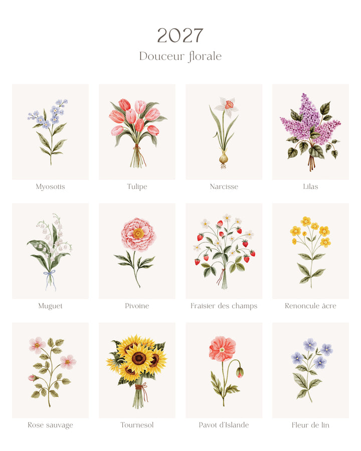 Calendrier 2027 - Douceur Florale - illustrée par Marie-Lise