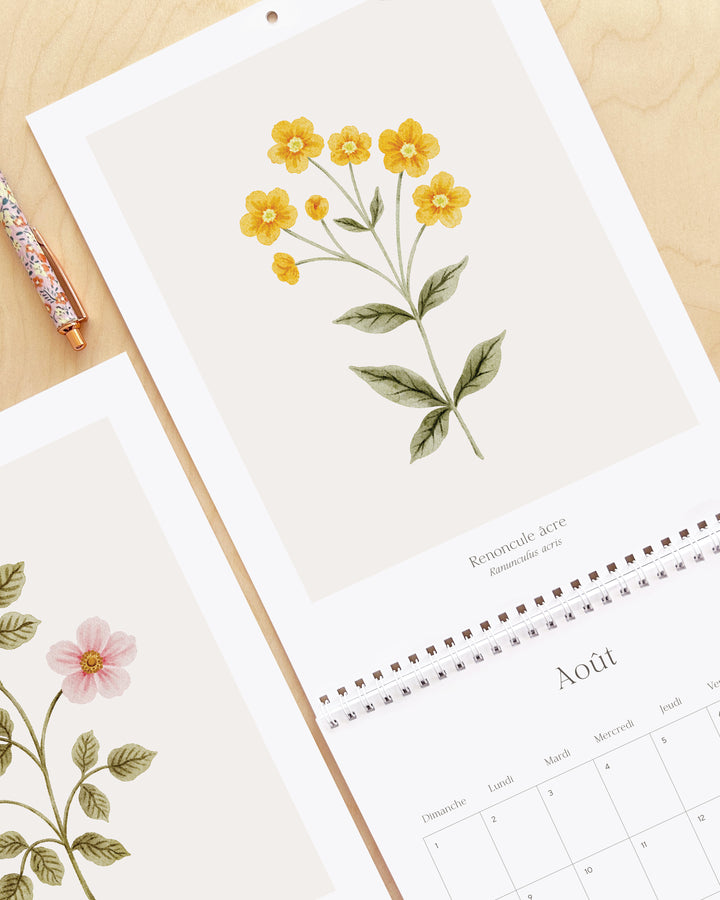 Calendrier 2027 - Douceur Florale - illustrée par Marie-Lise