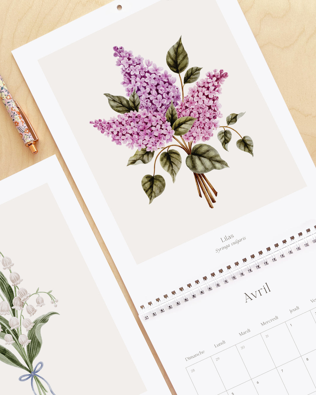 Calendrier 2027 - Douceur Florale - illustrée par Marie-Lise