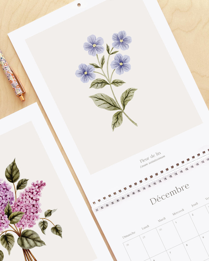 Calendrier 2027 - Douceur Florale - illustrée par Marie-Lise