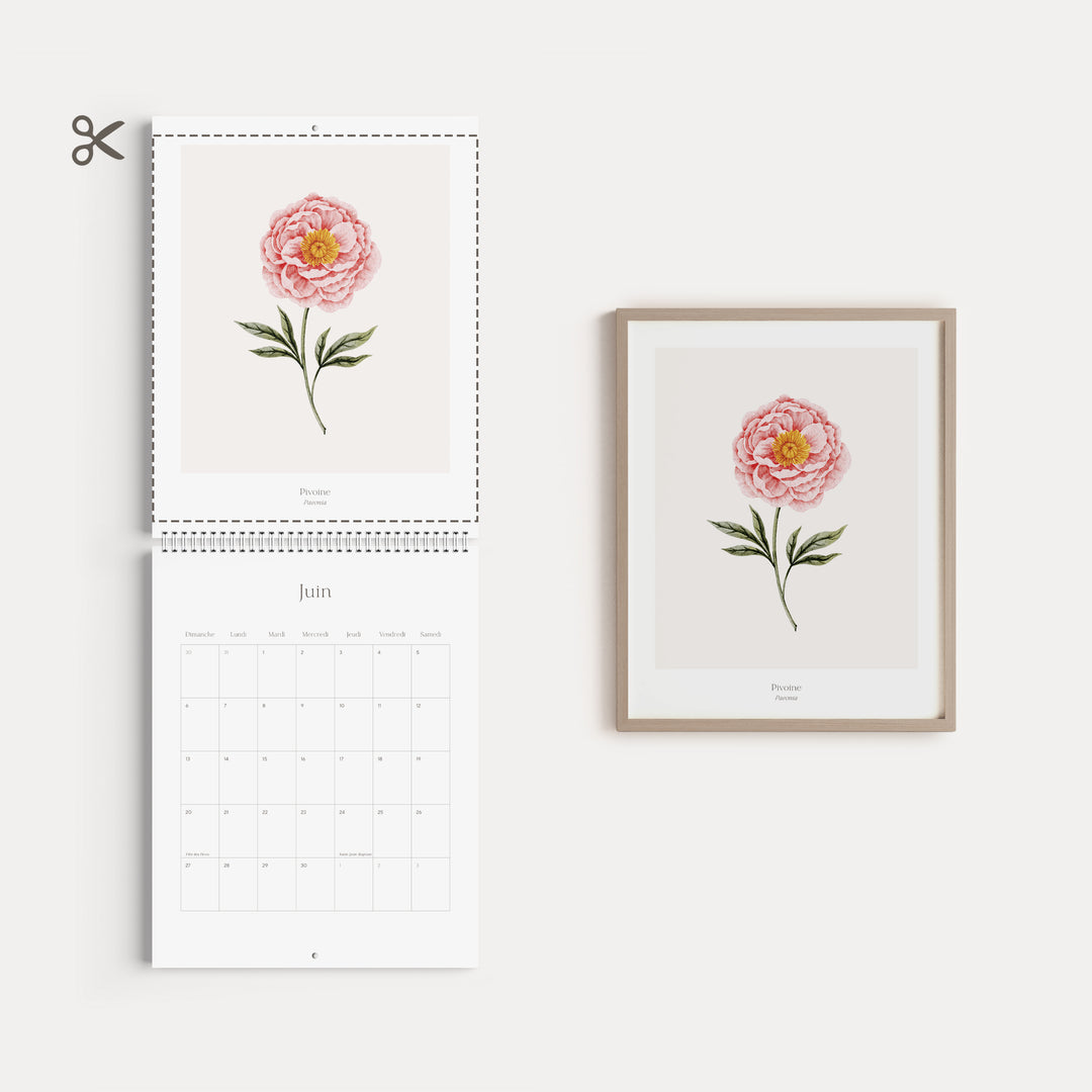 Calendrier 2027 - Douceur Florale - illustrée par Marie-Lise