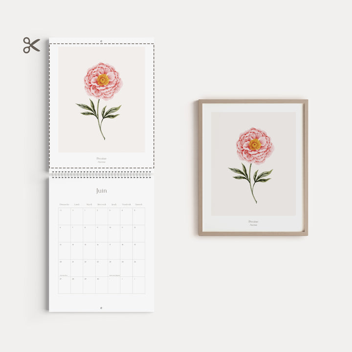 Calendrier 2027 - Douceur Florale - illustrée par Marie-Lise