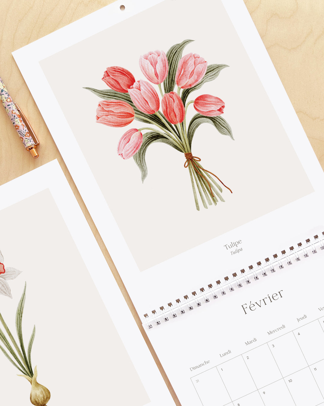 Calendrier 2027 - Douceur Florale - illustrée par Marie-Lise