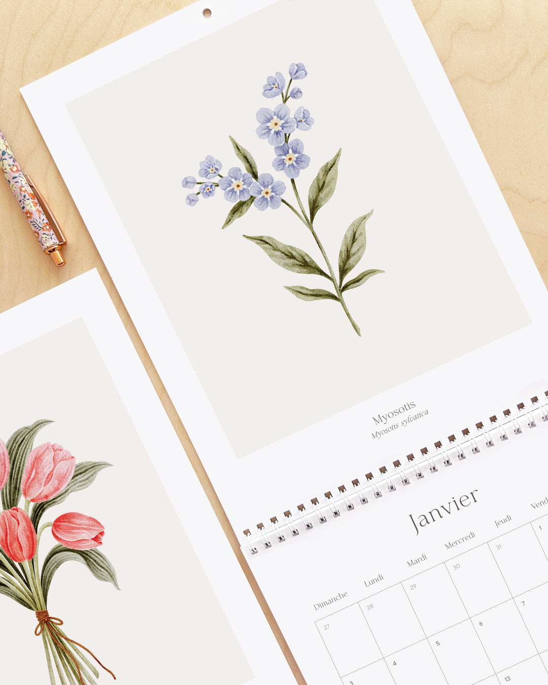 Calendrier 2027 - Douceur Florale - illustrée par Marie-Lise