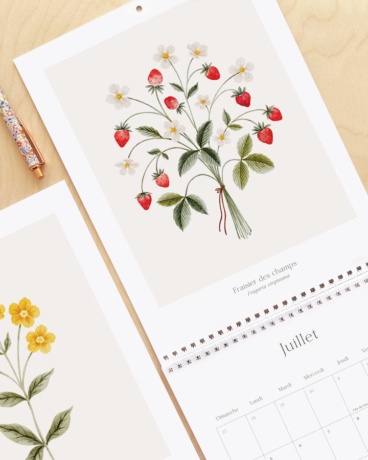 Calendrier 2027 - Douceur Florale - illustrée par Marie-Lise