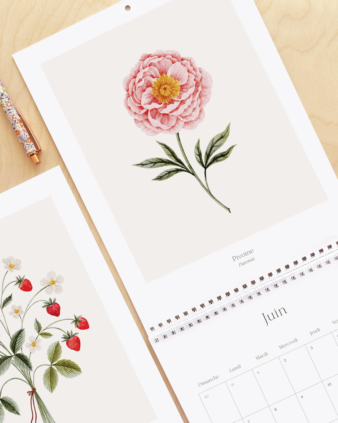 Calendrier 2027 - Douceur Florale - illustrée par Marie-Lise