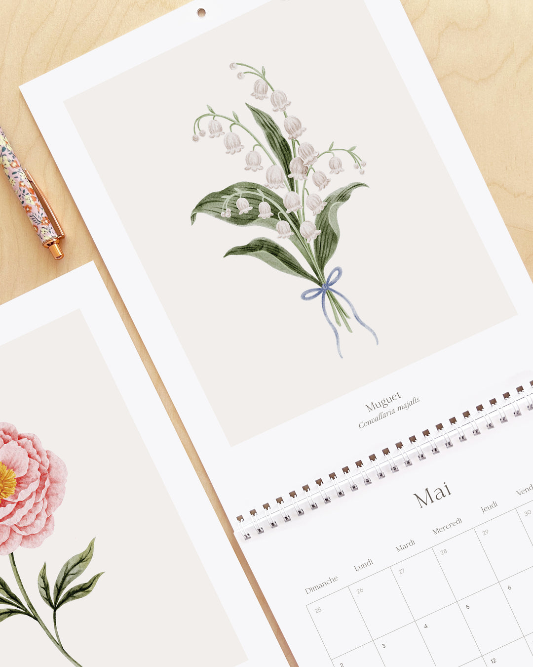 Calendrier 2027 - Douceur Florale - illustrée par Marie-Lise