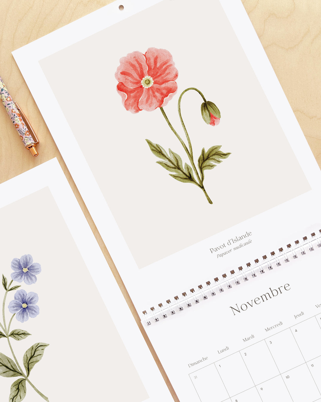 Calendrier 2027 - Douceur Florale - illustrée par Marie-Lise