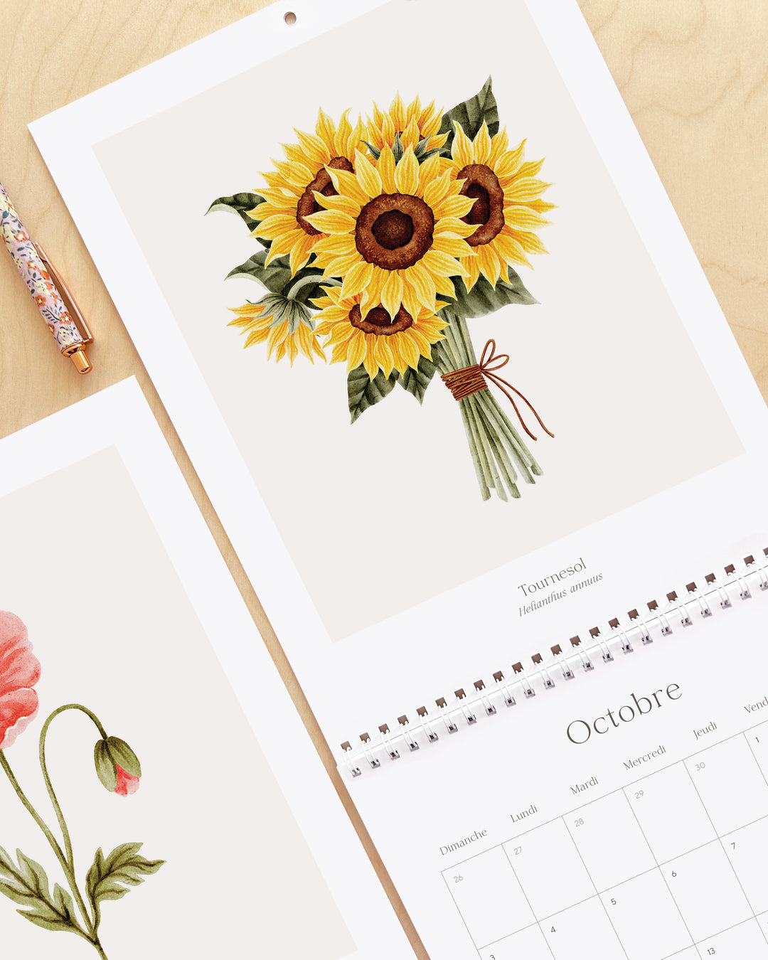 Calendrier 2027 - Douceur Florale - illustrée par Marie-Lise