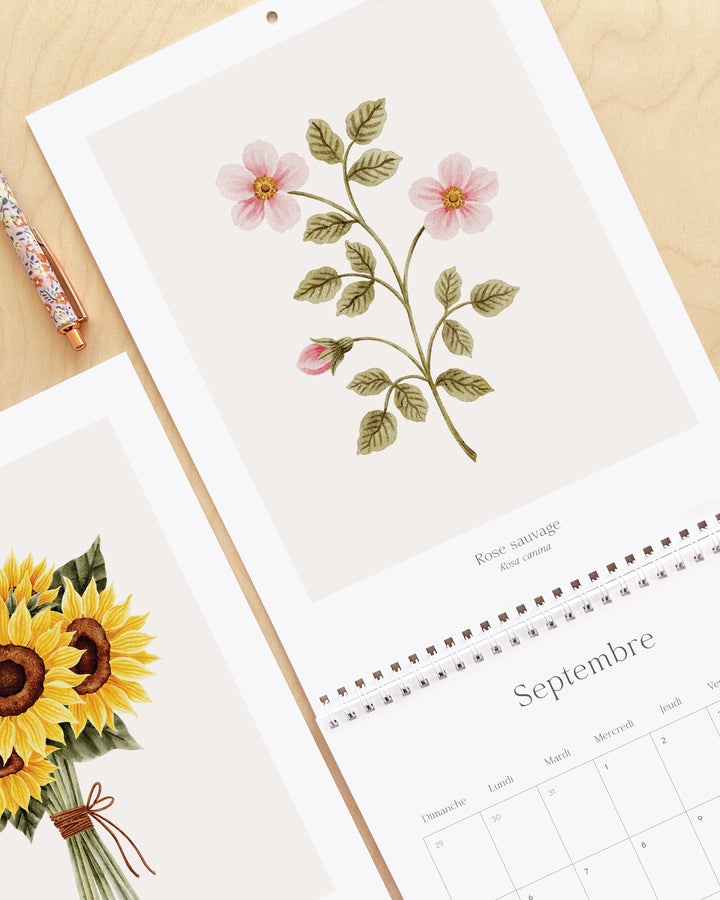 Calendrier 2027 - Douceur Florale - illustrée par Marie-Lise