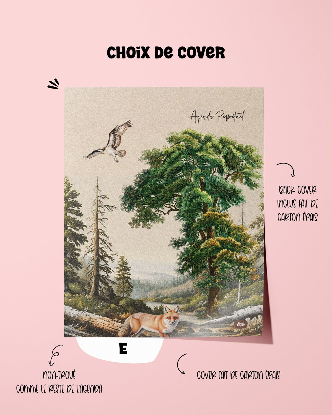 Agenda 6e édition - SANS TROUS SANS RELIURE / NON BOUDINÉ