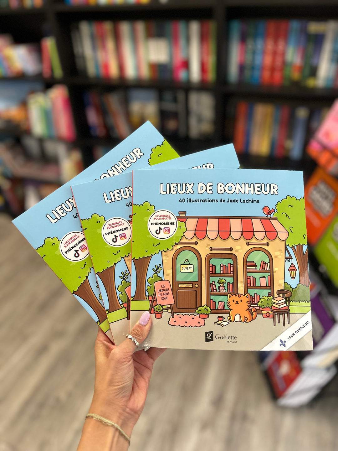 Le livre à colorier de Jade Lachine - TOME 2 - Lieux de bonheur